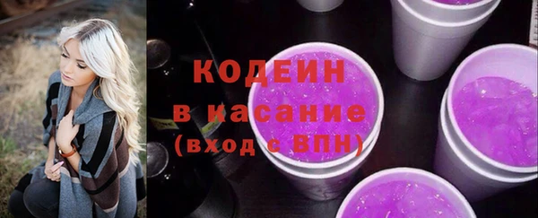 шишки Аркадак