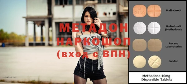 шишки Аркадак