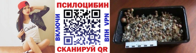 Галлюциногенные грибы Magic Shrooms  сколько стоит  Истра 